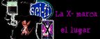 Sitios donde puedes encontrar articulos X